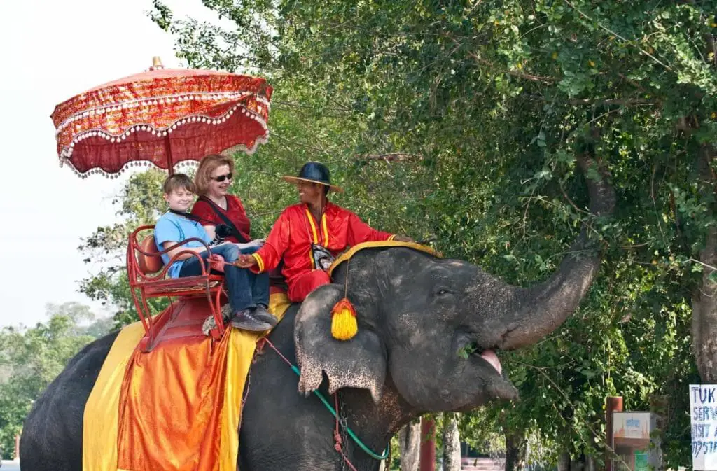 elephant avec des touristes sur le dos et un maitre qui dirige